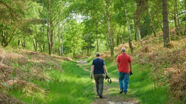 people-walking-in-woodland-dunwich-heath-suffolk-1454909